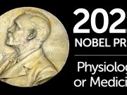 Le Suédois Svante Pääbo remporte le Prix Nobel de physiologie ou de médecine 2022