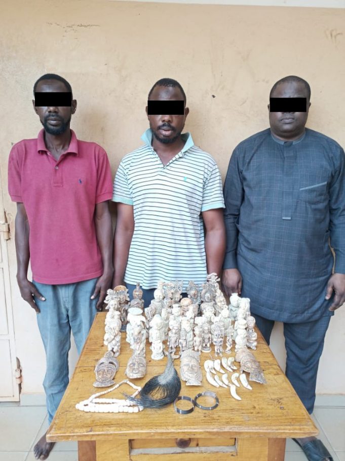 Togo: trois trafiquants spécialisés dans le commerce illégal d’ivoires sculptés aux arrêtés