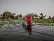 Afrique: le changement climatique, une réalité accablante