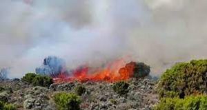 Tanzanie: l’Armée fait face à un feu sur le Kilimandjaro