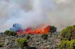 Tanzanie: l’Armée fait face à un feu sur le Kilimandjaro