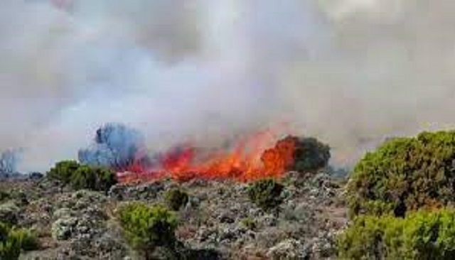 Des flammes sur le mont Kilimandjaro en Tanzanie