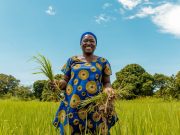 Prix Africa Food Prize: Nestlé devient partenaire pour renforcer la sécurité alimentaire et la résilience au changement climatique