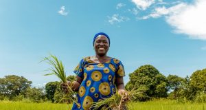 Prix Africa Food Prize: Nestlé devient partenaire pour renforcer la sécurité alimentaire et la résilience au changement climatique