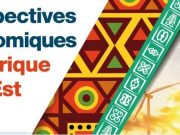 Afrique de l’Est: la BAD prévoit un ralentissement économique en 2022, suivi d’un rebond en 2023