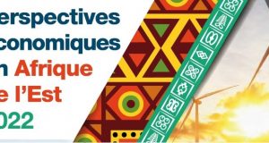 Afrique de l’Est: la BAD prévoit un ralentissement économique en 2022, suivi d’un rebond en 2023