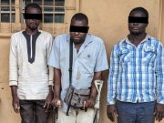 Trafic d’espèces protégées: trois trafiquants d’ivoire arrêtés puis déférés