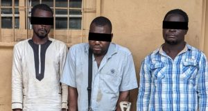 Trafic d’espèces protégées: trois trafiquants d’ivoire arrêtés puis déférés