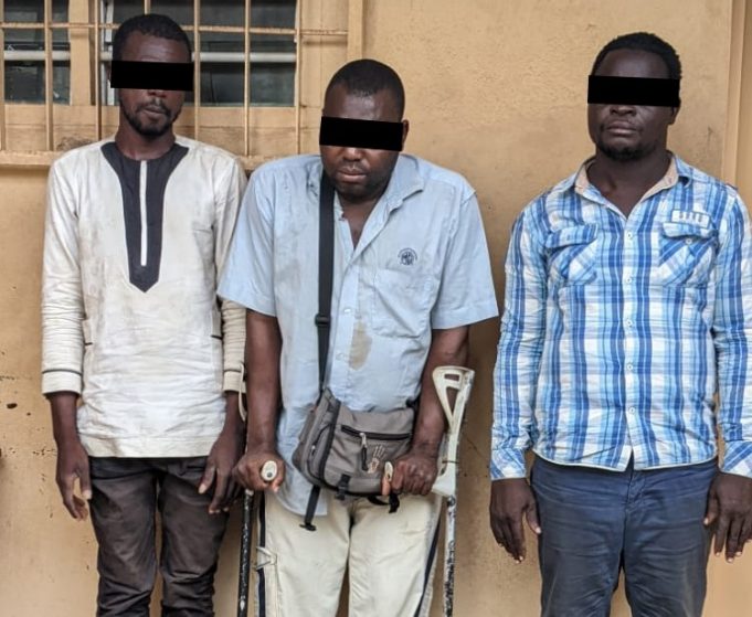 Trafic d’espèces protégées: trois trafiquants d’ivoire arrêtés puis déférés