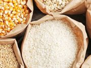 Burkina: plus de 65 000 tonnes de céréales attendues pour la campagne agricole de saison sèche
