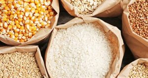 Burkina/Campagne agricole 2024-2025: plus de 6 millions de tonnes de céréales produites