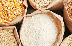 Burkina/Campagne agricole 2024-2025: plus de 6 millions de tonnes de céréales produites