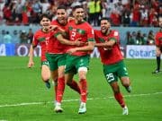 Qatar 2022: un combat de coqs et de lions!