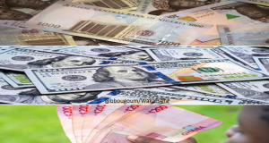 Finances: les 20 monnaies africaines les moins performantes entre 2013-2022 (FA)
