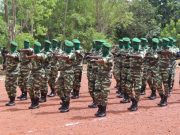 Burkina: bientôt un recrutement de 4000 agents des Eaux et Forêts