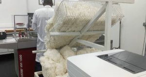 SOFITEX: le coton qui fait la fierté du Burkina sur le marché international