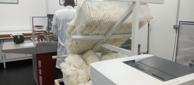 SOFITEX: le coton qui fait la fierté du Burkina sur le marché international