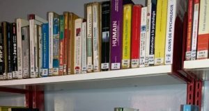 Burkina: la médiathèque de l’Institut français de Ouagadougou de nouveau ouverte au public