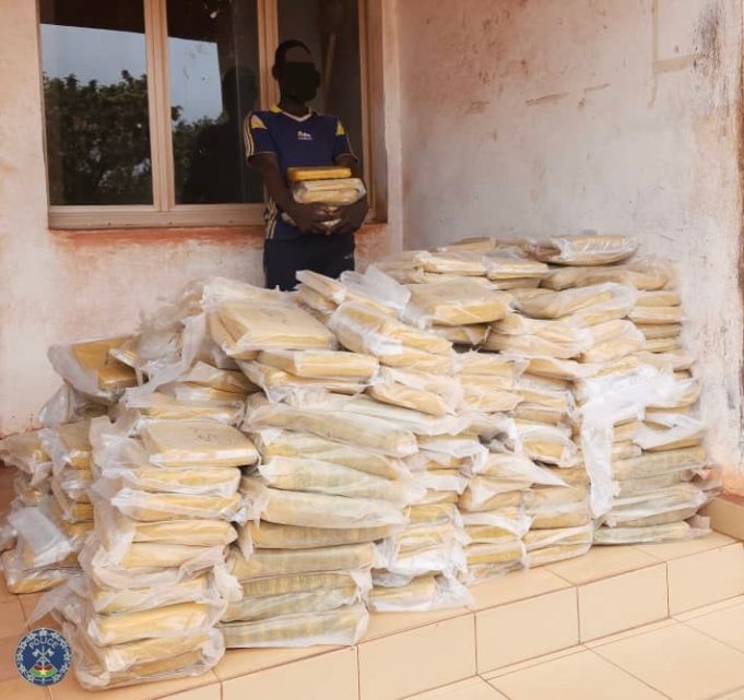 Burkina: un trafiquant aux arrêts avec près de 700 kg de chanvre indien