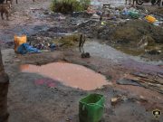 Ouagadougou: démantèlement d’un site d’abattage clandestin d’animaux