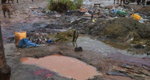 Ouagadougou: démantèlement d’un site d’abattage clandestin d’animaux