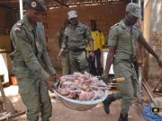 Ouagadougou: environ 600 Kg de poulets avariés saisis
