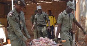 Ouagadougou: environ 600 Kg de poulets avariés saisis