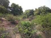 Burkina: les occupants des forêts classées de Wayen et de Ziga sommés de les libérer