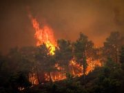 Algérie: 15 morts et 26 blessés dans des incendies dans le Nord du pays