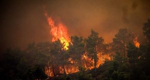 Le Secrétaire général de l’OCI exprime sa compassion à l’Algérie frappée par des incendies