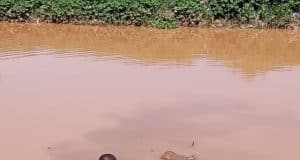 Ouagadougou: un enfant de six ans perd la vie par noyade à Ouidi