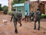 Ouagadougou: environ 350 têtes d’animaux mises en fourrière