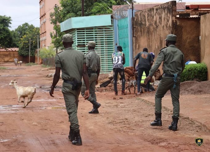 Ouagadougou: environ 350 têtes d’animaux mises en fourrière