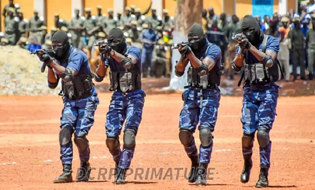 Des gendarmes en fin de formation en démonstration