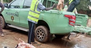 Ouagadougou: des sites d’abattage clandestin d’animaux démolis