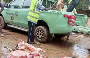 Ouagadougou: des sites d’abattage clandestin d’animaux démolis