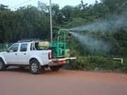 Palu, dengue et chikungunya: pulvérisation spatiale à Ouaga