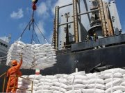 Russie-Afrique: 25 000 tonnes de blé attendues au Burkina et en Somalie d’ici fin novembre