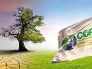 COP 28: le climat a encore eu chaud pour que Dubaï ait sa foire!