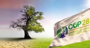 COP 28: le climat a encore eu chaud pour que Dubaï ait sa foire!