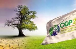 COP 28: le climat a encore eu chaud pour que Dubaï ait sa foire!