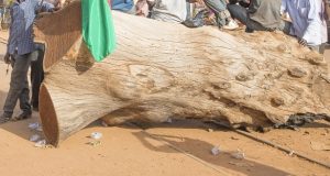 Burkina: contre la loi, des individus menacent encore de «bloquer» les trains marchandises