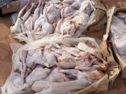 Ouagadougou: des poulets avariés saisis et incinérés