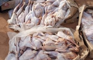 Ouagadougou: des poulets avariés saisis et incinérés