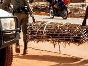Ouagadougou: interdit de vendre des animaux et de la volaille hors des marchés de bétail
