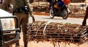 Ouagadougou: interdit de vendre des animaux et de la volaille hors des marchés de bétail