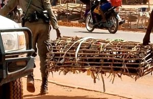Ouagadougou: interdit de vendre des animaux et de la volaille hors des marchés de bétail