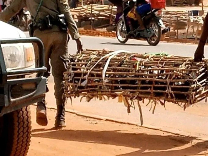 Ouagadougou: interdit de vendre des animaux et de la volaille hors des marchés de bétail