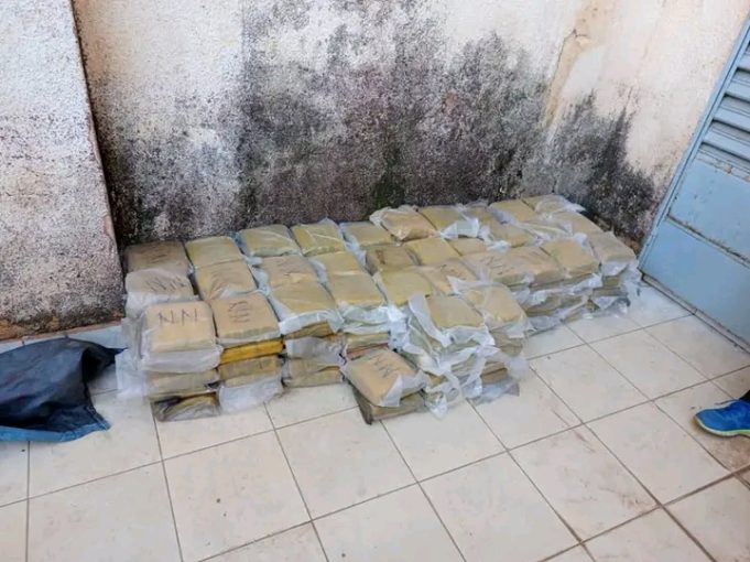 Ouagadougou/Tanghin: la Police municipale saisit environ 165 kg de cannabis