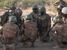 Mali: plusieurs terroristes neutralisés, leurs refuges détruits